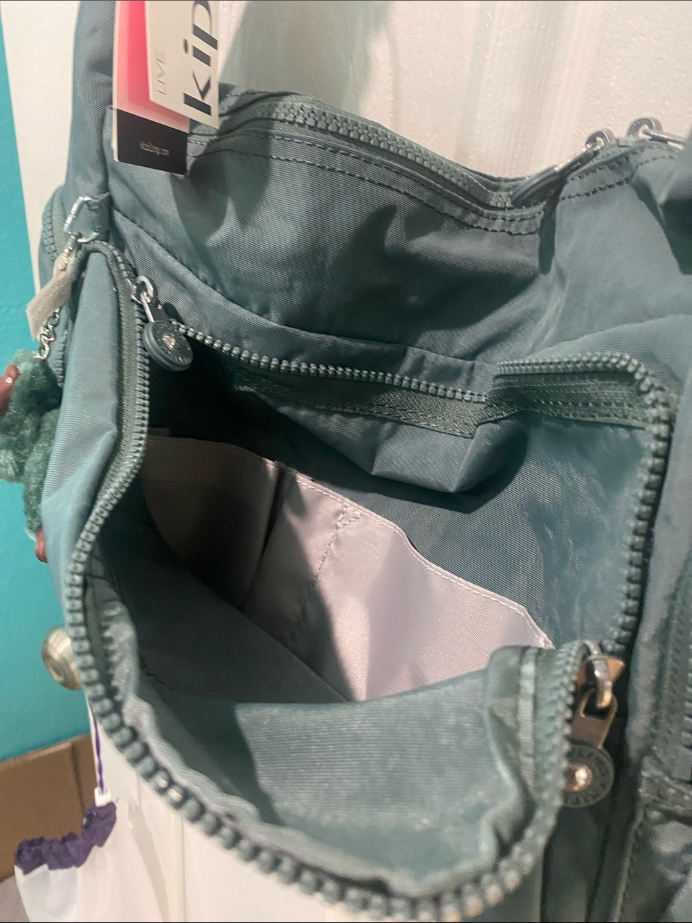 Kipling “Erica” Light Aloe Tonal Color - Picture 7 of 11